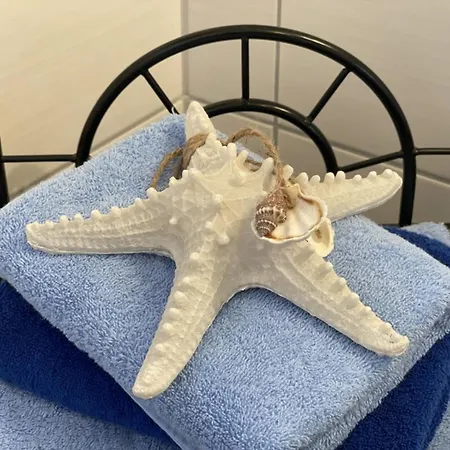 Dom wakacyjny Dolcevita Walkenried